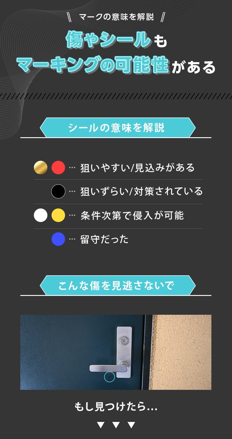 活動歴および当時の関連ビジュアル記録